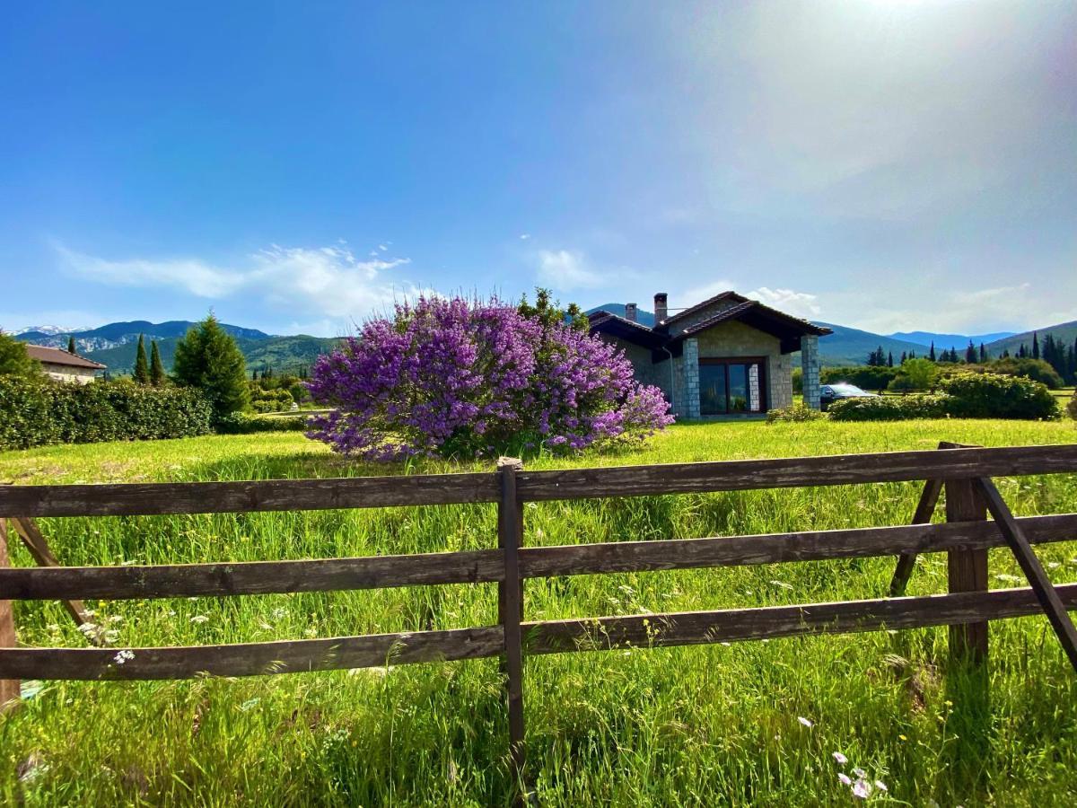Lithos Villas Amfíklia Kültér fotó